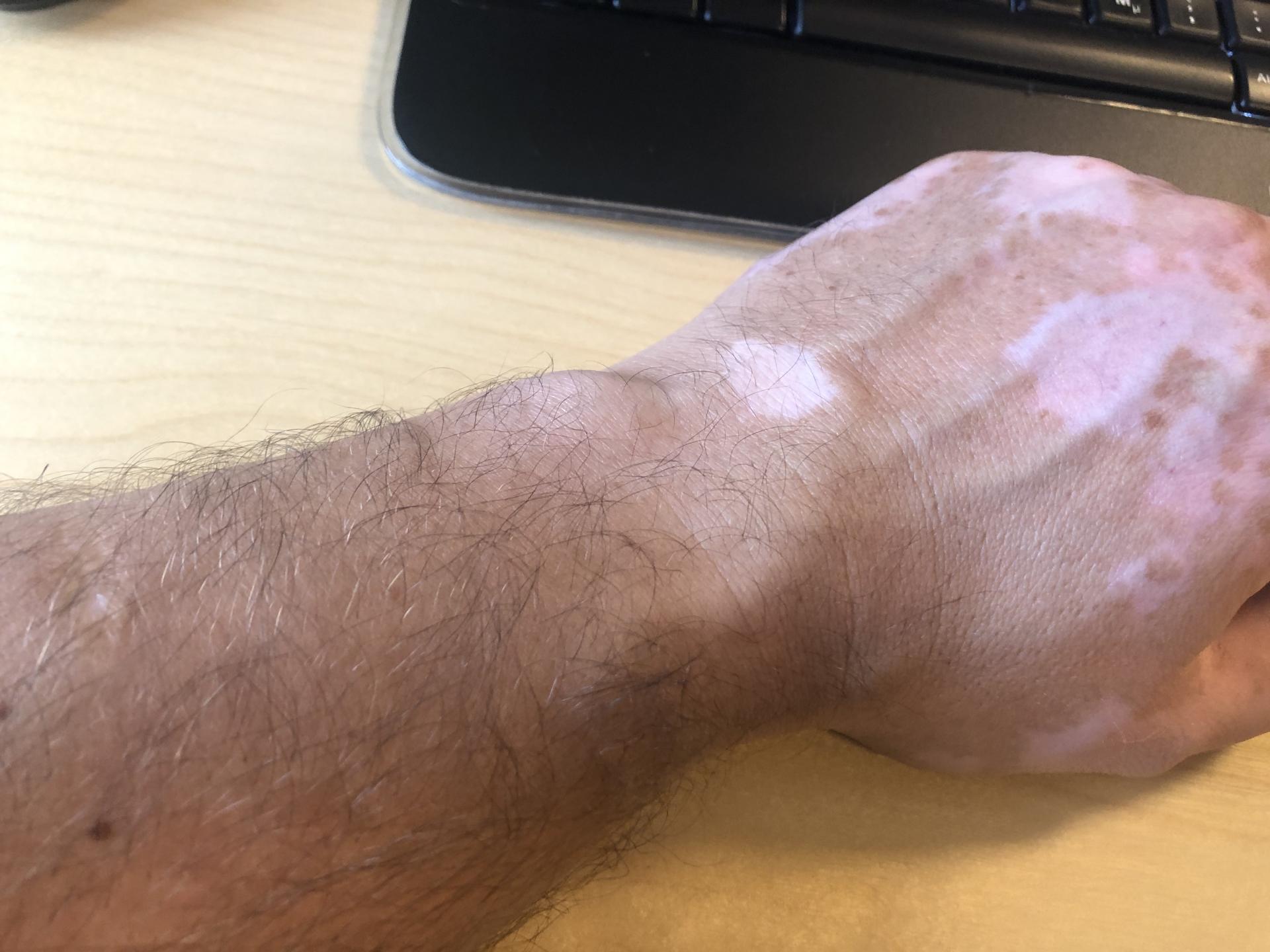 Naziv: A4E98157-038F-4DAD-8663-519EE346C20C.jpg, pregleda: 210, veličina: 205,1 KB