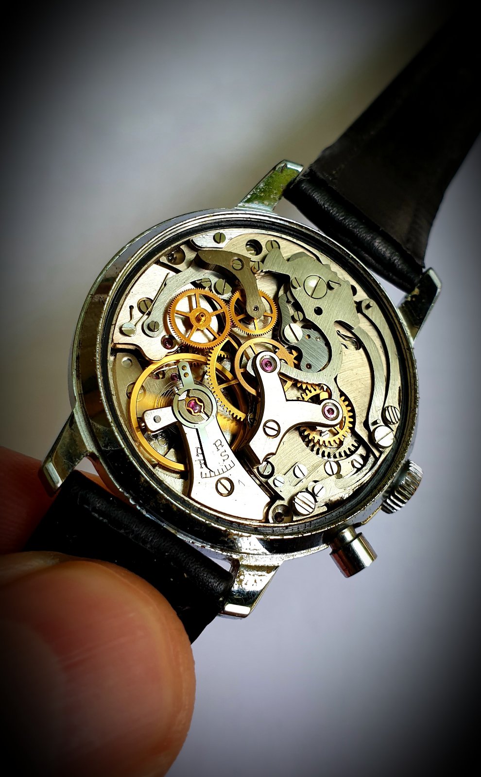 Naziv: oriosa.jpg, pregleda: 215, veličina: 245,2 KB