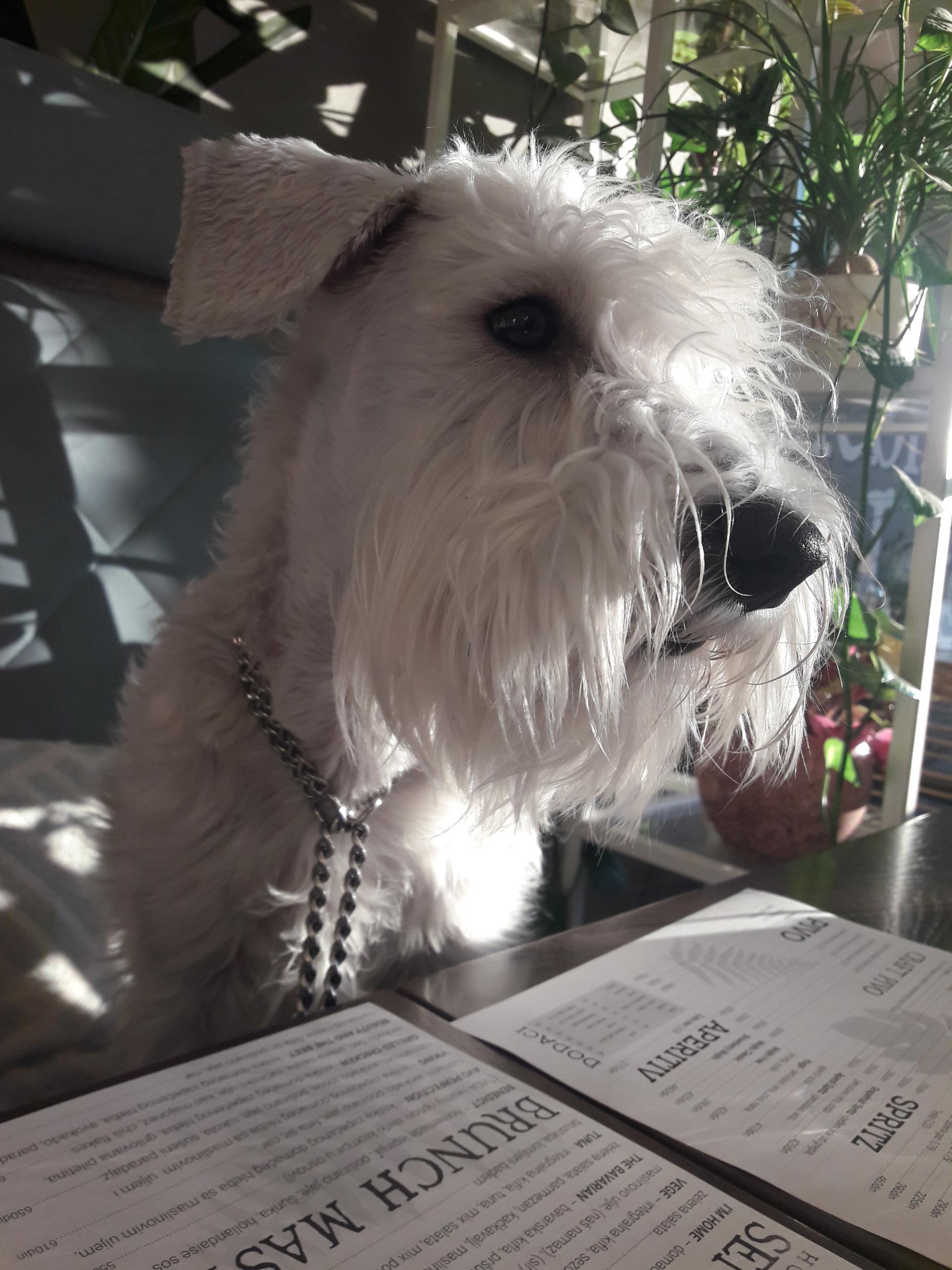 Kliknite za sliku za veću verziju

Ime:	20210303_164739.jpg
Viđeno:	219
Veličina:	398,9 KB
ID:	151916