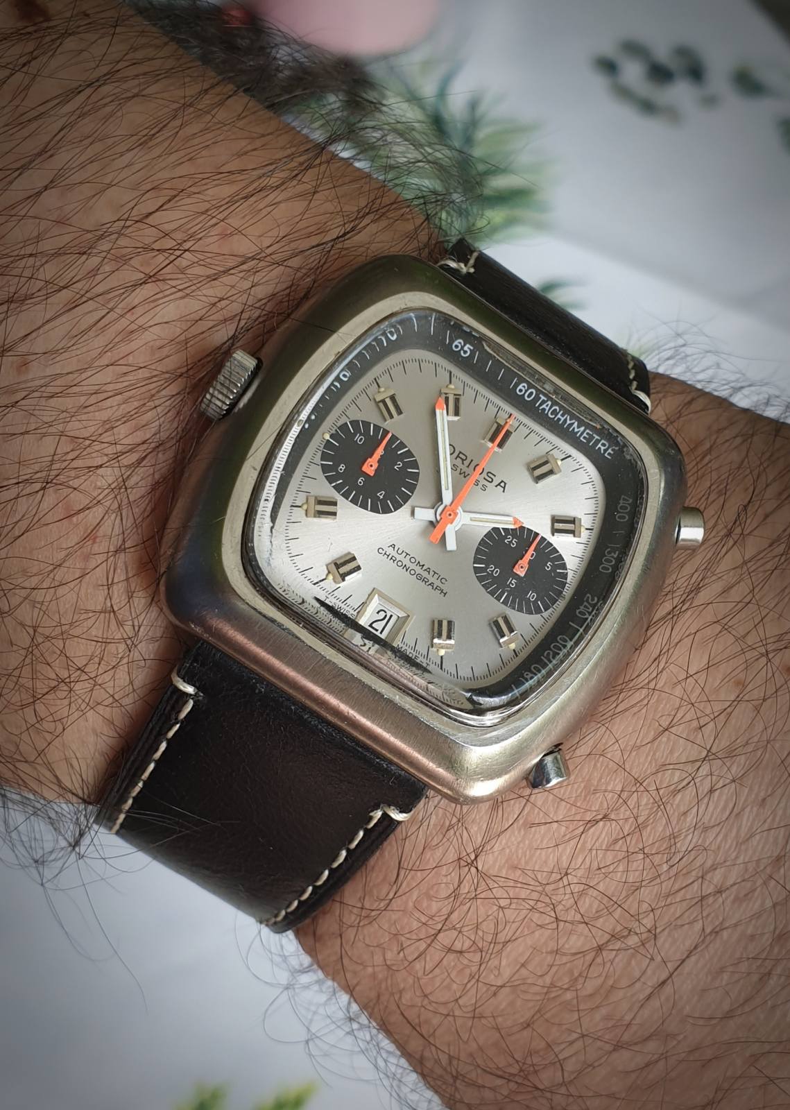 Naziv: oriosa.jpg, pregleda: 157, veličina: 225,7 KB