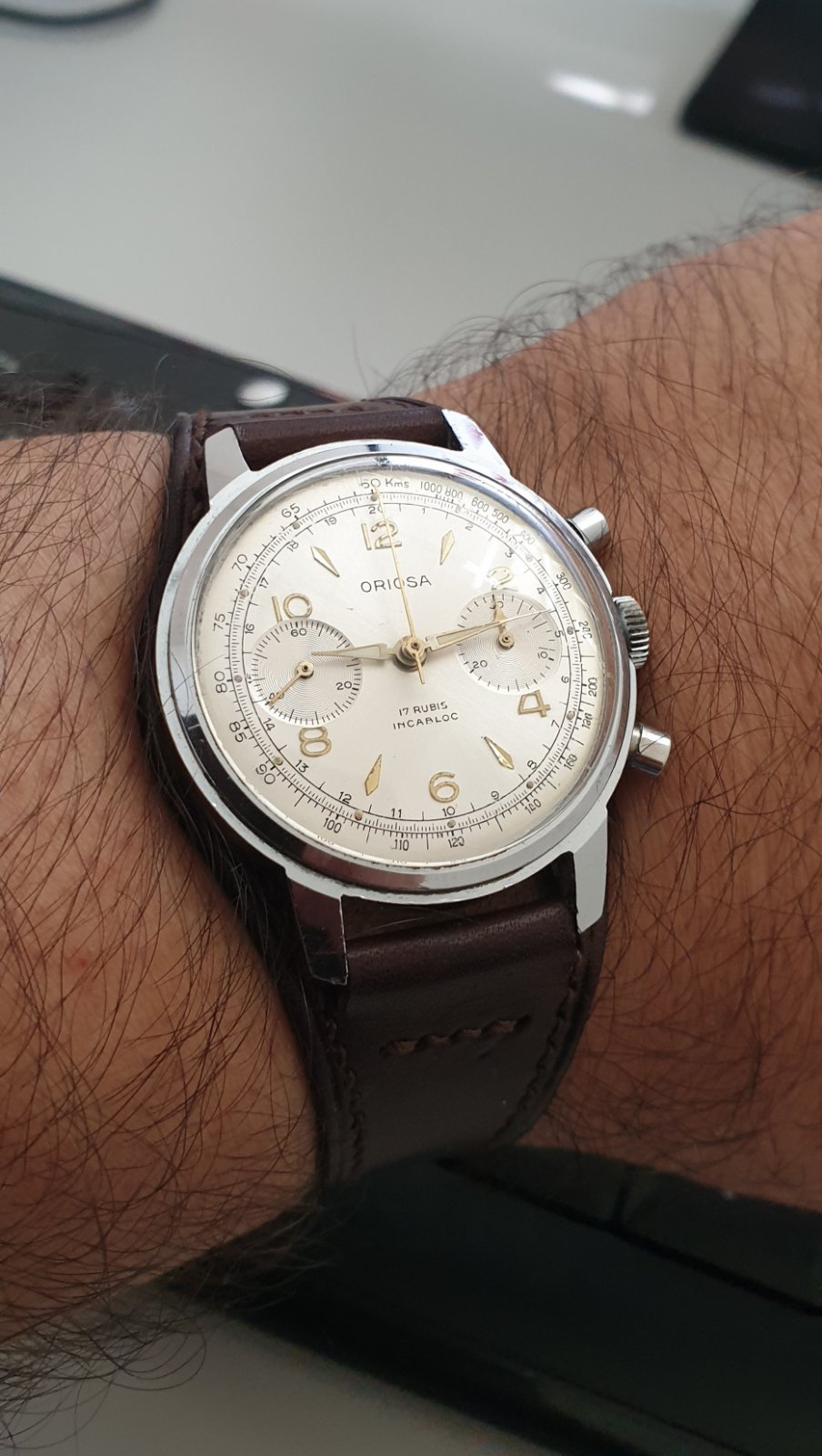 Naziv: oriosa.jpg, pregleda: 143, veličina: 187,7 KB