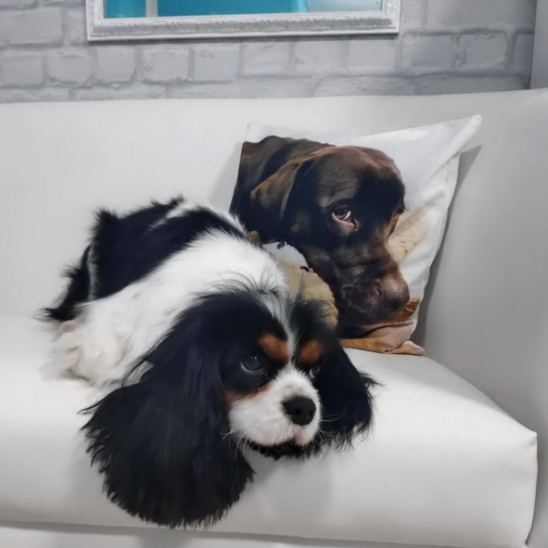 Naziv: 279098051_672441890510519_3931893103781797595_n.jpg, pregleda: 127, veličina: 117,9 KB