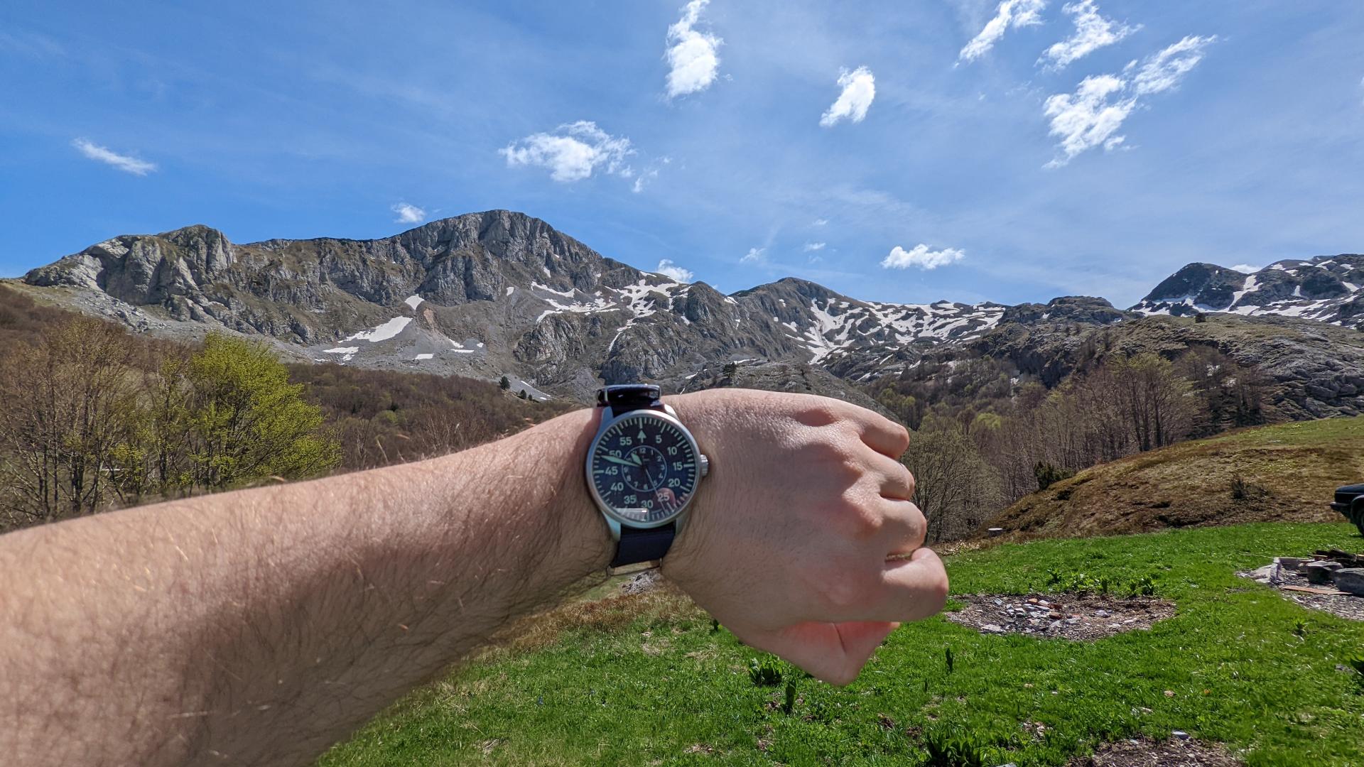 Naziv: PXL_20220512_085015010.jpg, pregleda: 155, veličina: 337,2 KB