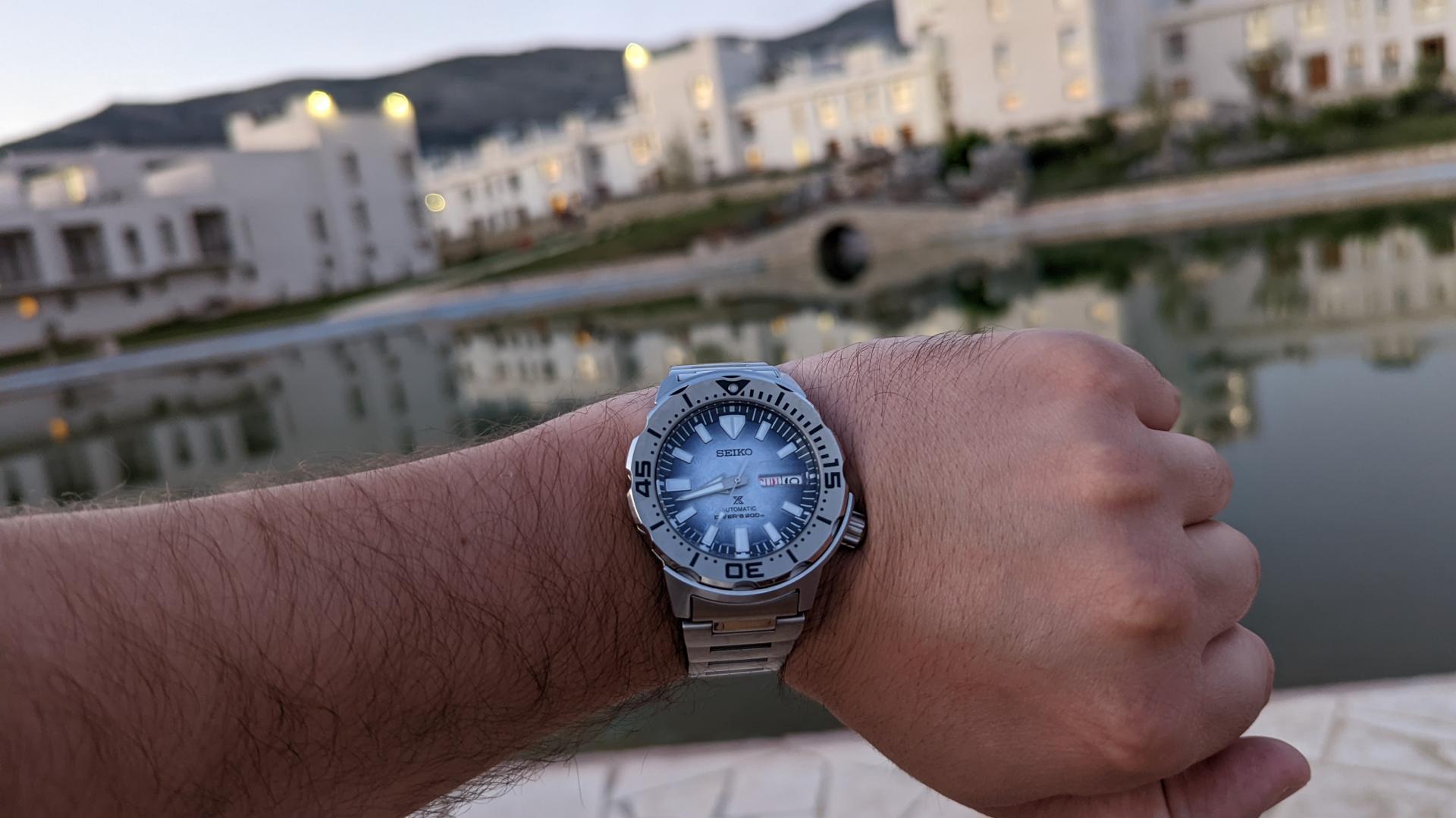 Naziv: PXL_20220619_184227496.MP.jpg, pregleda: 141, veličina: 159,8 KB