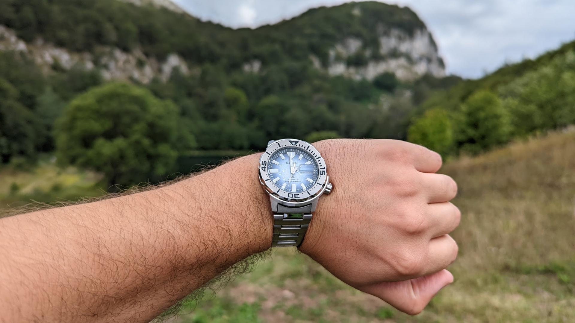 Naziv: pixel seiko.jpg, pregleda: 182, veličina: 174,2 KB