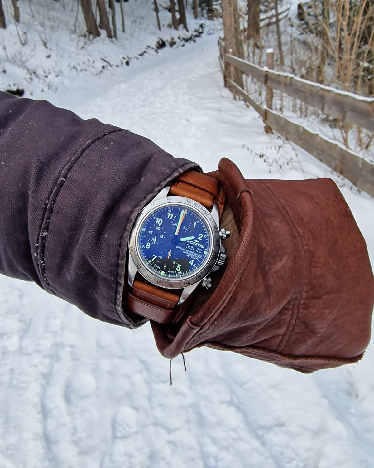 Naziv: IMG_20230122_141748_859.jpg, pregleda: 158, veličina: 212,2 KB