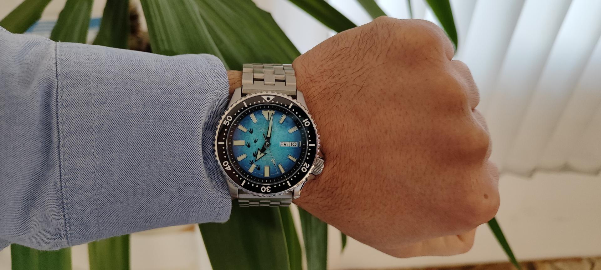 Naziv: IMG_20230210_070253.jpg, pregleda: 158, veličina: 203,3 KB