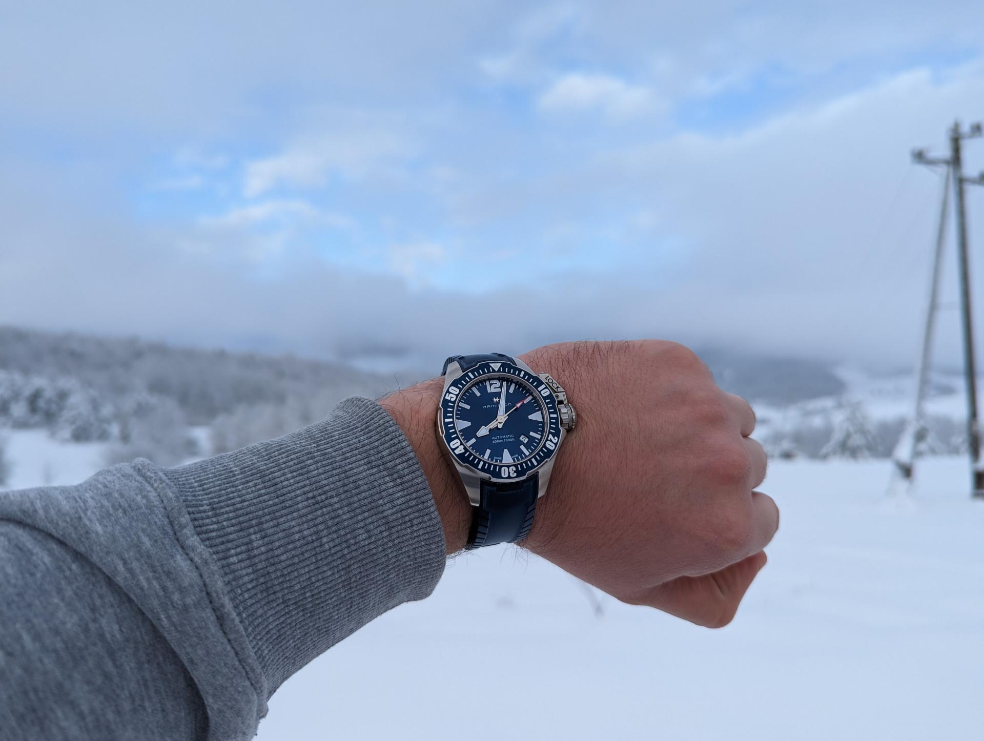 Naziv: hami.jpg, pregleda: 132, veličina: 162,0 KB