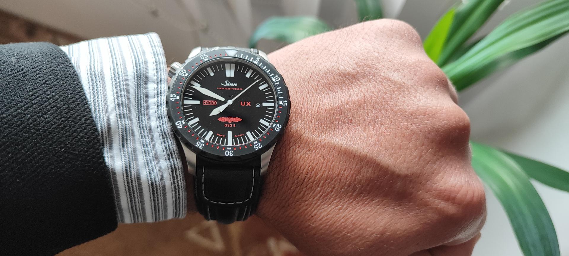 Naziv: IMG_20230602_074911.jpg, pregleda: 109, veličina: 220,1 KB