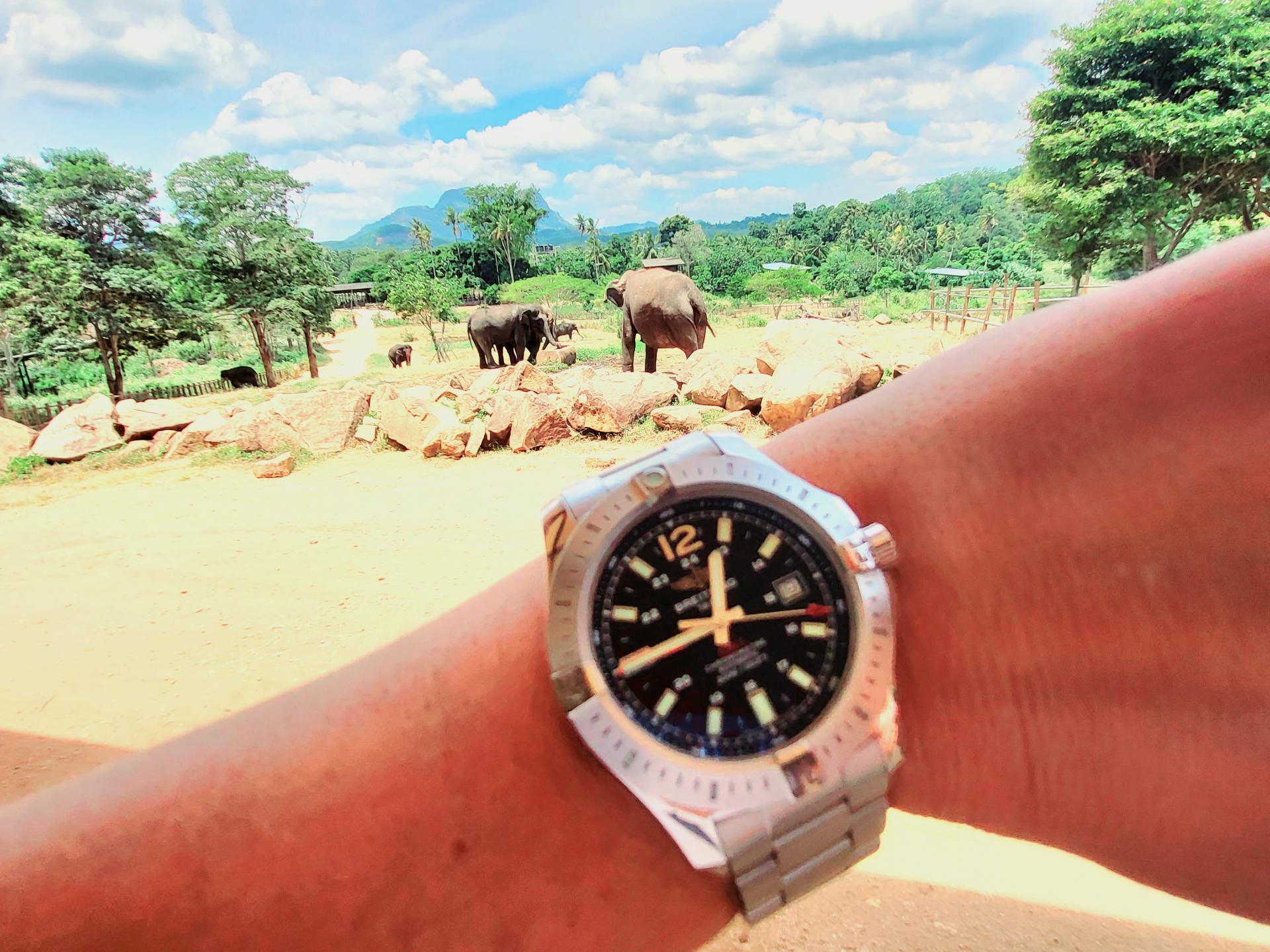 Naziv: 20230819_124524.jpg, pregleda: 126, veličina: 334,2 KB