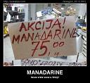 Smešne slike i video klipovi-manadarine.jpg