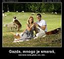 Smešne slike i video klipovi-smaras.jpg