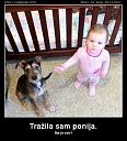 Smešne slike i video klipovi-trazila-sam-ponija.jpg