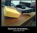 Smešne slike i video klipovi-srpski-kackavalj.jpg
