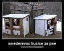 Smešne slike i video klipovi-5.jpg