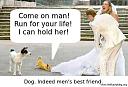 Smešne slike i video klipovi-dog-mens-best-friend-funny-wedding-picture-run-hold-her.jpg