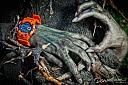 Slike satova koji mi se sviđaju-g-shock-zombie-1.jpg