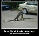 Smešne slike i video klipovi-4.jpg