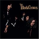 Muzika koju volim ili šta slušate sada?-black-crowes-shake-your-money-maker-album-cover.jpg
