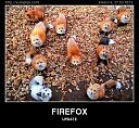 Smešne slike i video klipovi-firefox.jpg
