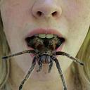 Smešne slike i video klipovi-34990_454053811342502_284364081_n.jpg