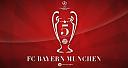 Liga šampiona-zvanična tema-fc_bayern_munchen_5_win_wallpaper.jpg