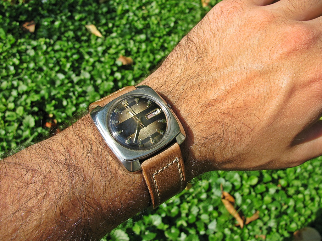 Naziv: IMG_3824 ....jpg, pregleda: 156, veličina: 419,1 KB