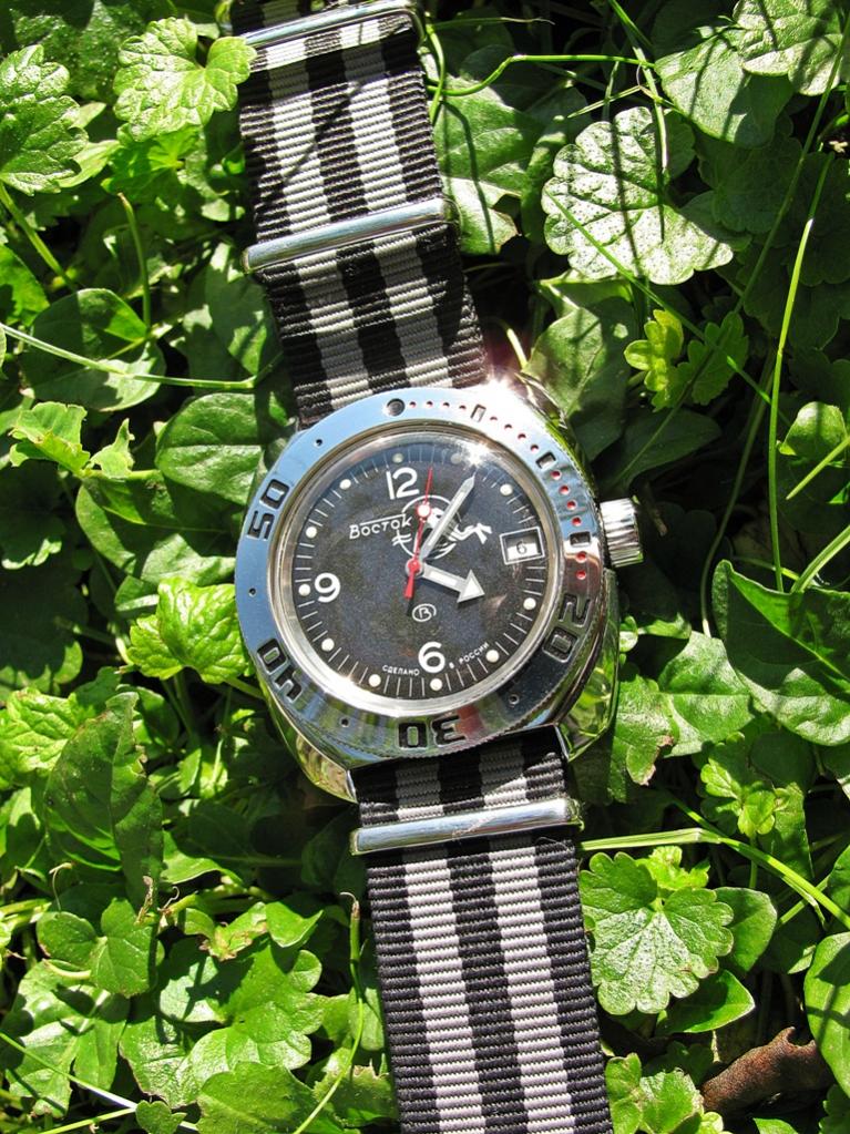 Naziv: IMG_3943 ....jpg, pregleda: 213, veličina: 189,4 KB