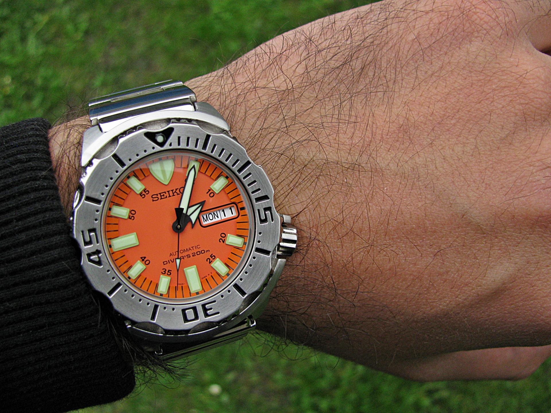 Naziv: IMG_4104 ....jpg, pregleda: 159, veličina: 429,0 KB