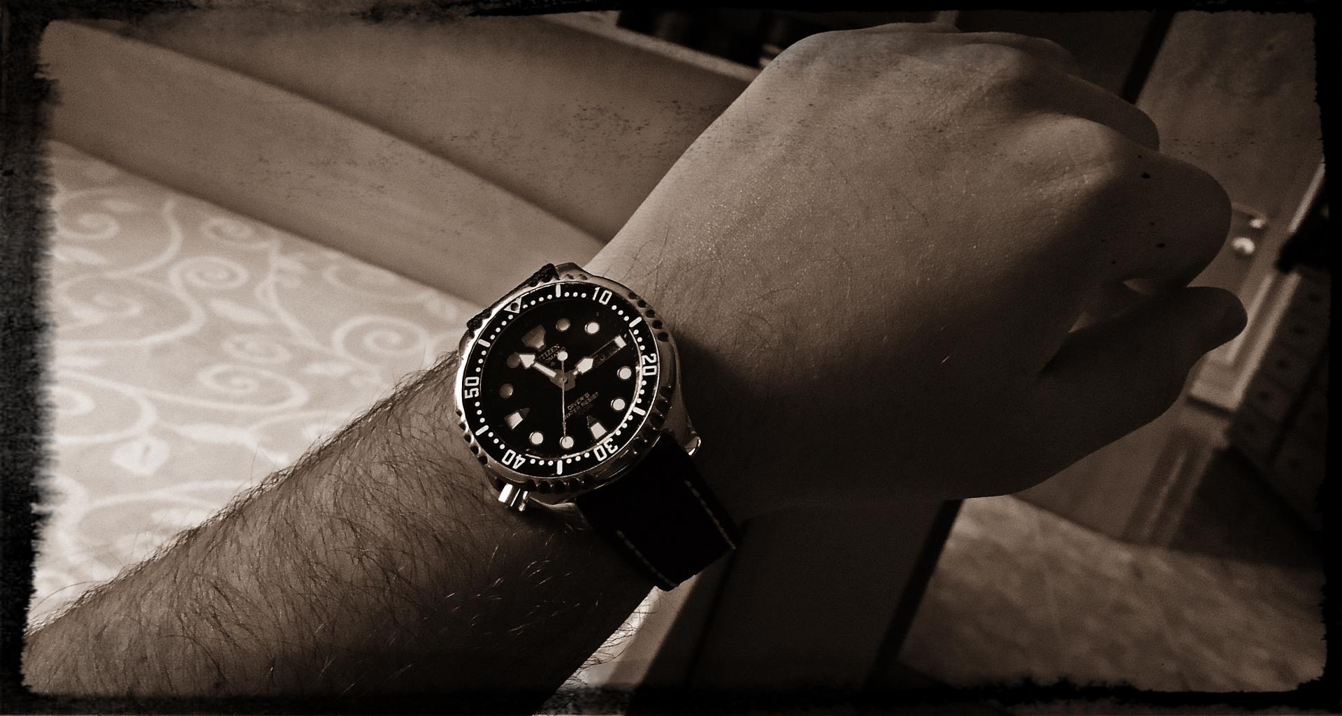 Naziv: Citizen.jpg, pregleda: 201, veličina: 205,5 KB