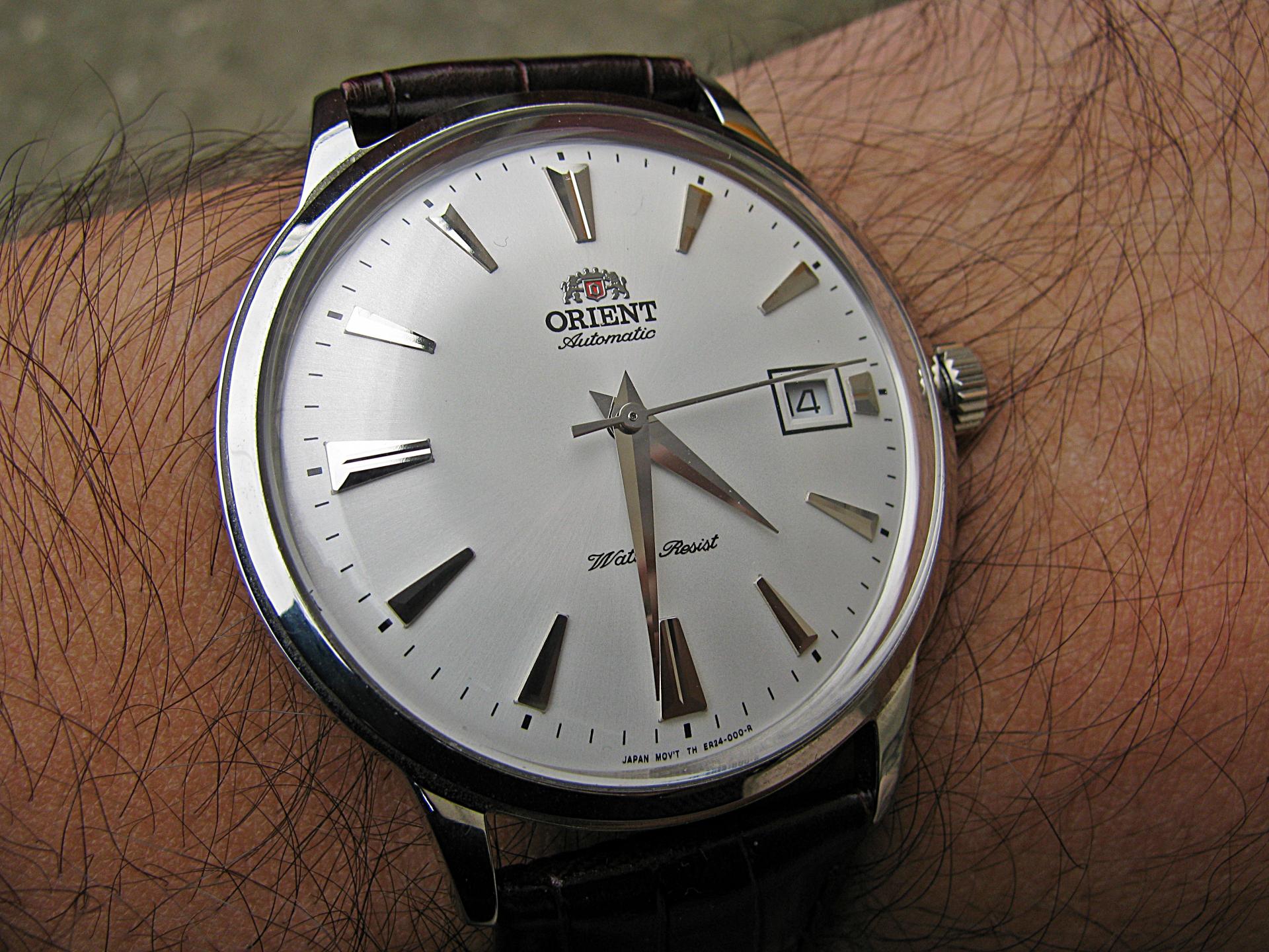 Naziv: IMG_4132 ....jpg, pregleda: 187, veličina: 378,5 KB