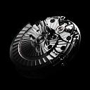 Diskusije o mehanizmima... satovima...-8500-1.jpg