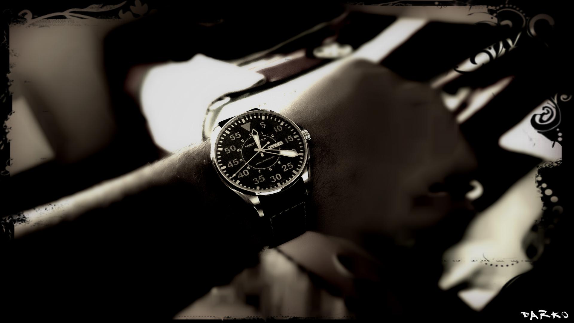 Naziv: Hamilton.jpg, pregleda: 231, veličina: 113,5 KB