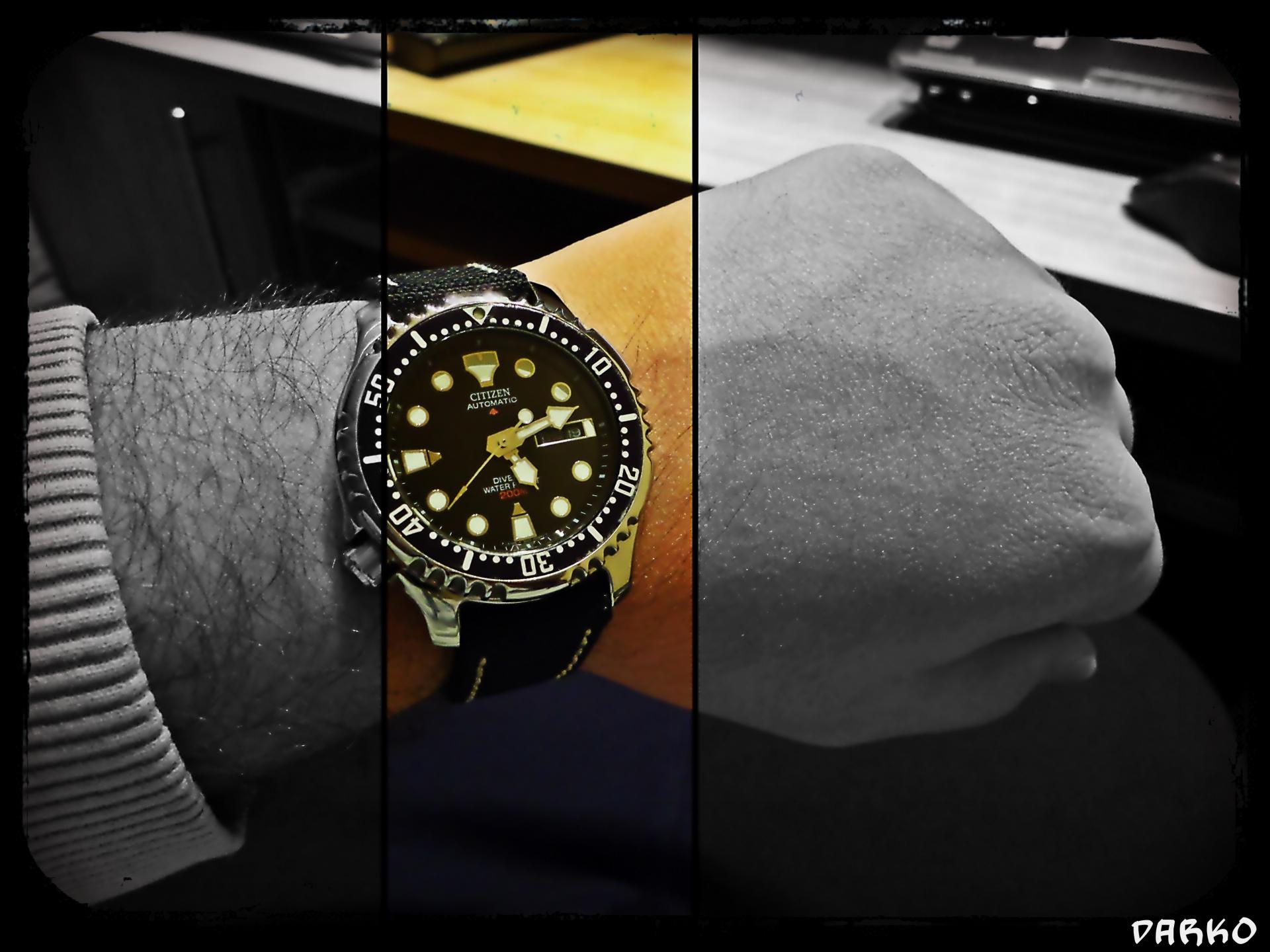 Naziv: DSC01571.jpg, pregleda: 203, veličina: 199,6 KB