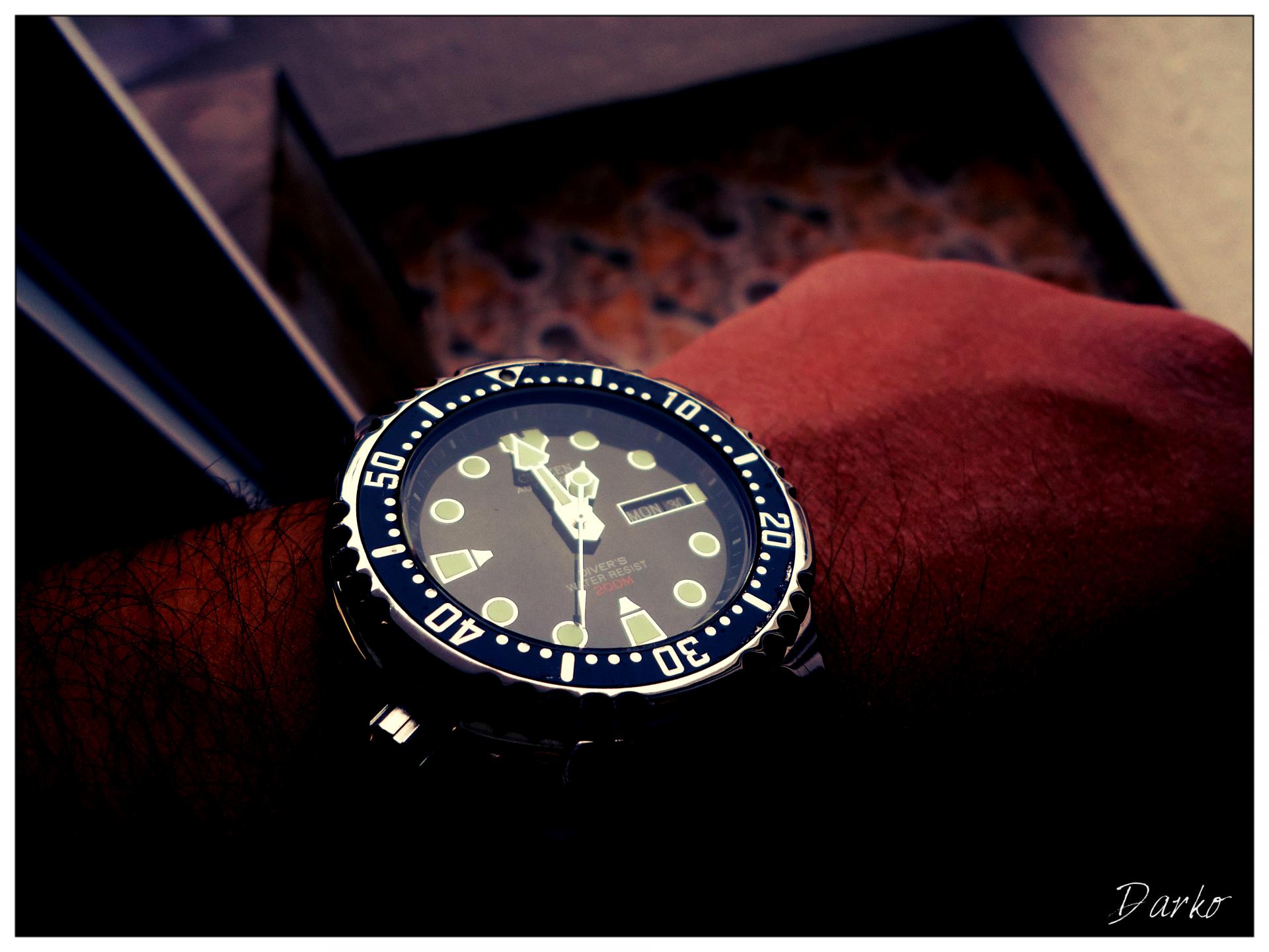 Naziv: DSC01676.jpg, pregleda: 151, veličina: 186,7 KB