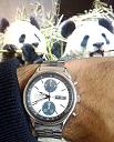 Koji sat nosite danas?-panda.jpg