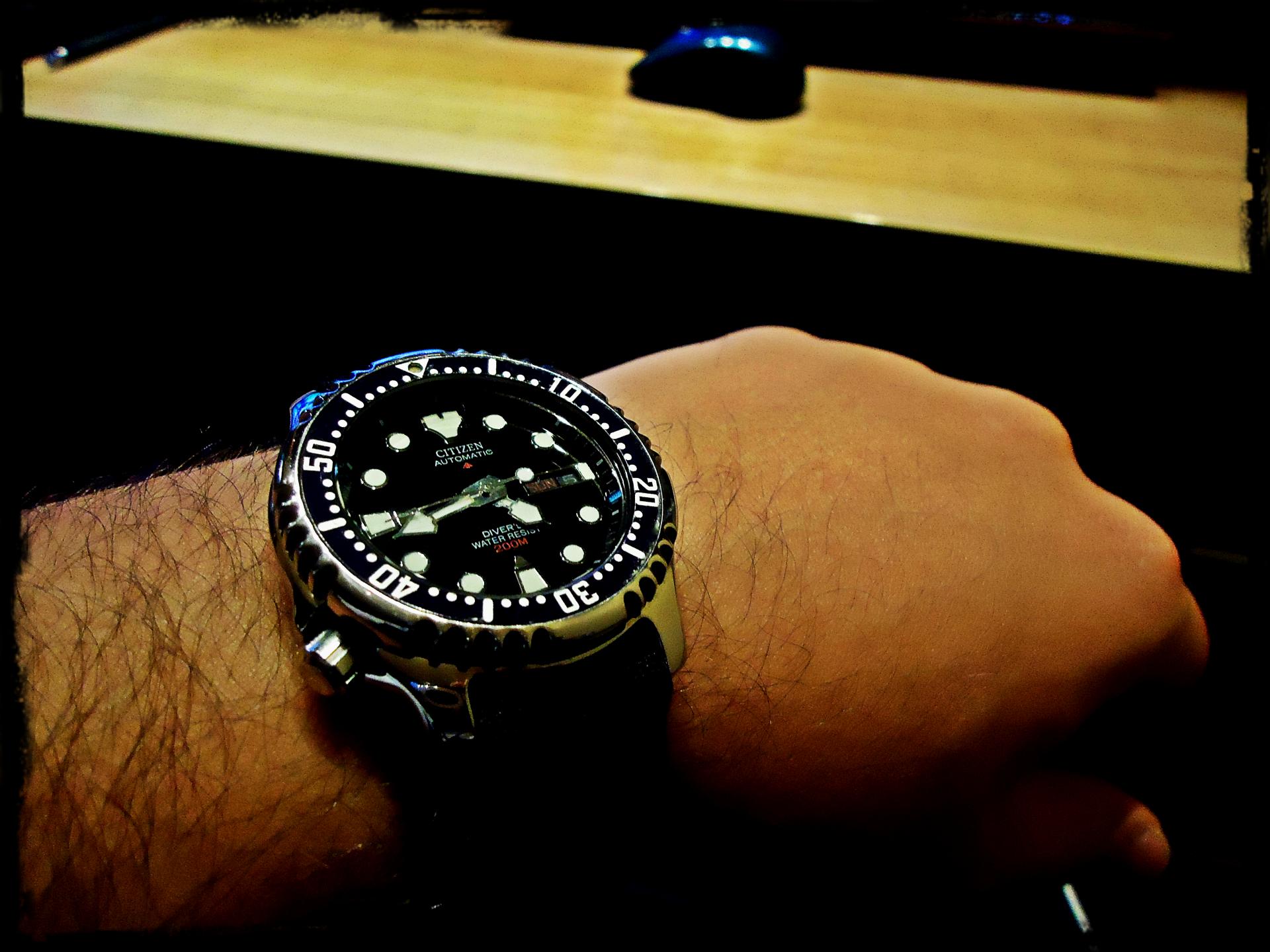 Naziv: DSC01687.jpg, pregleda: 152, veličina: 238,9 KB