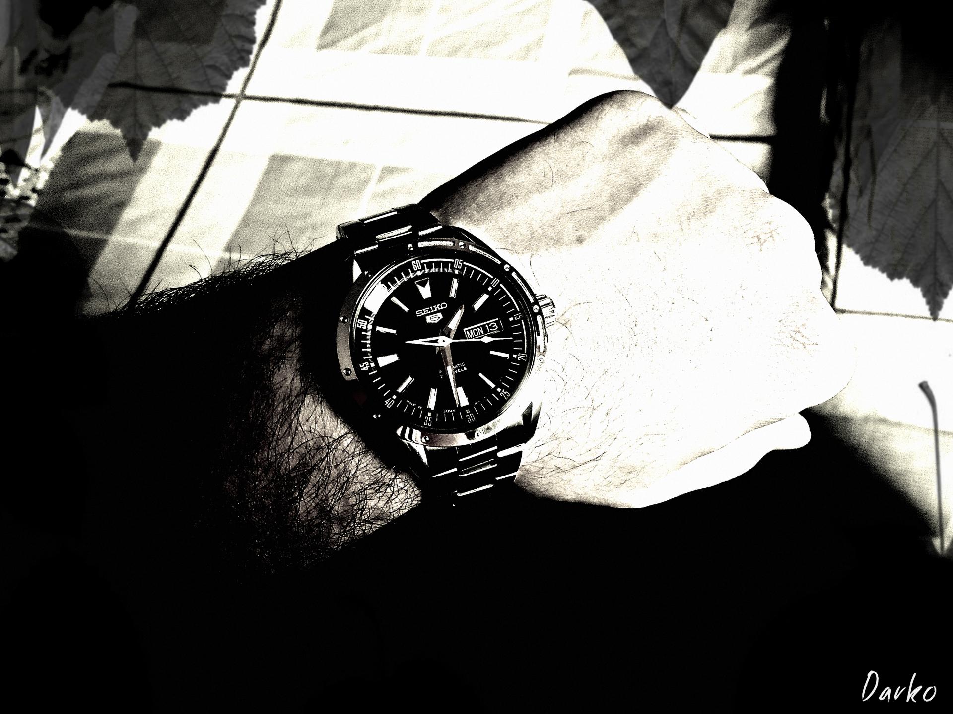 Naziv: DSC01725.jpg, pregleda: 235, veličina: 283,6 KB