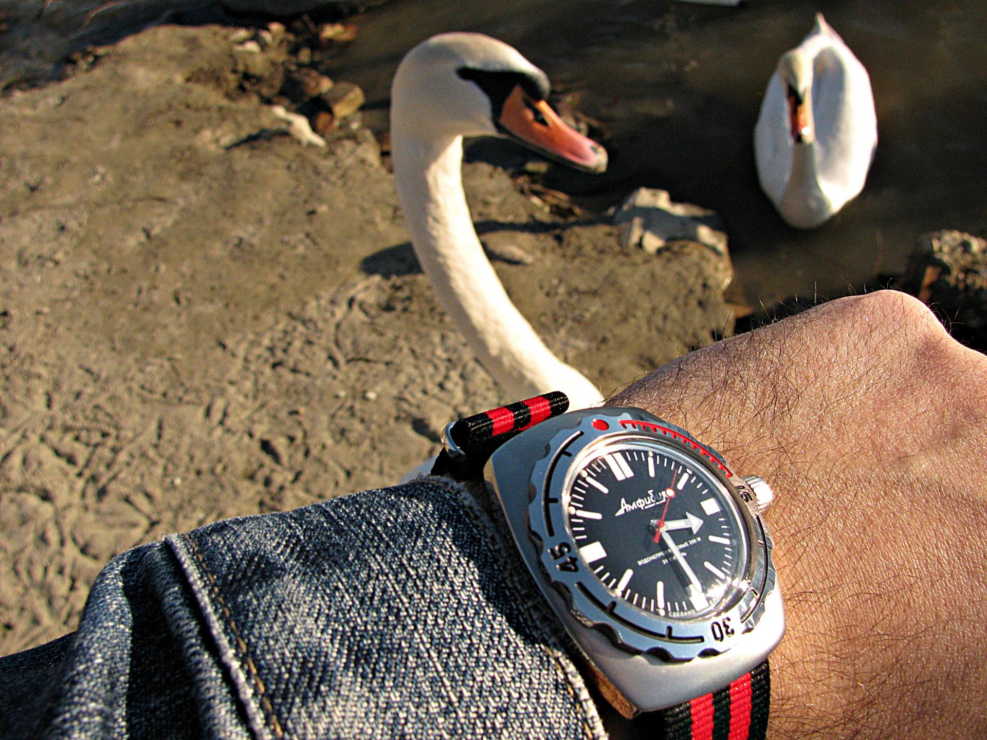 Naziv: IMG_5509 ....jpg, pregleda: 191, veličina: 480,5 KB