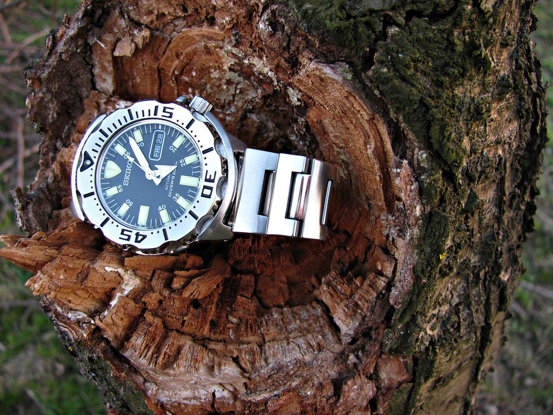 Naziv: IMG_6167 ....jpg, pregleda: 197, veličina: 498,0 KB