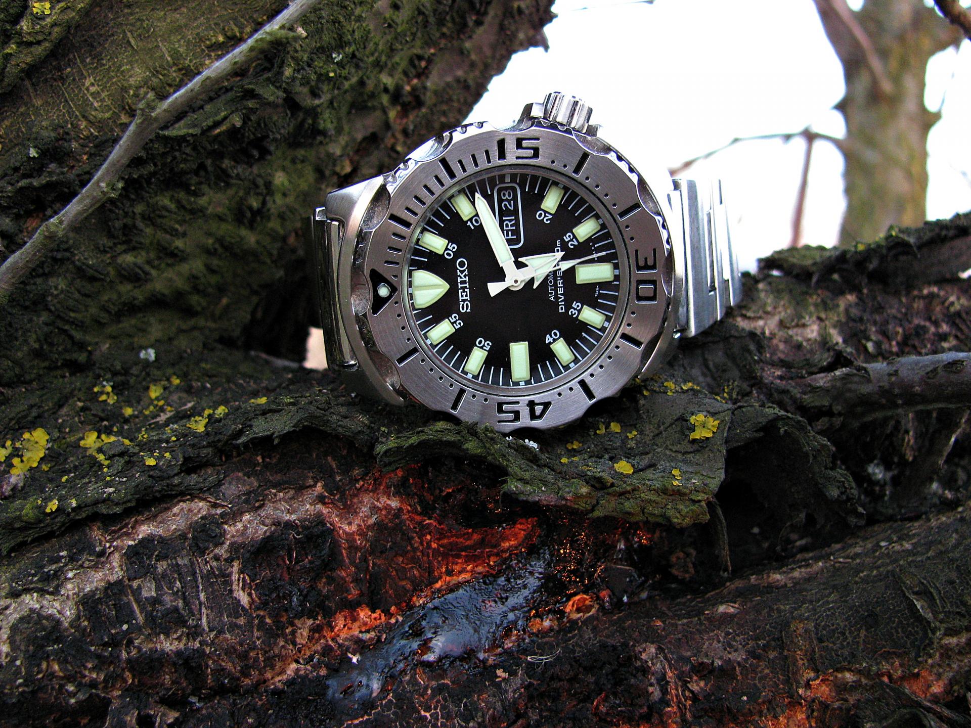 Naziv: IMG_6179 ....jpg, pregleda: 195, veličina: 481,7 KB