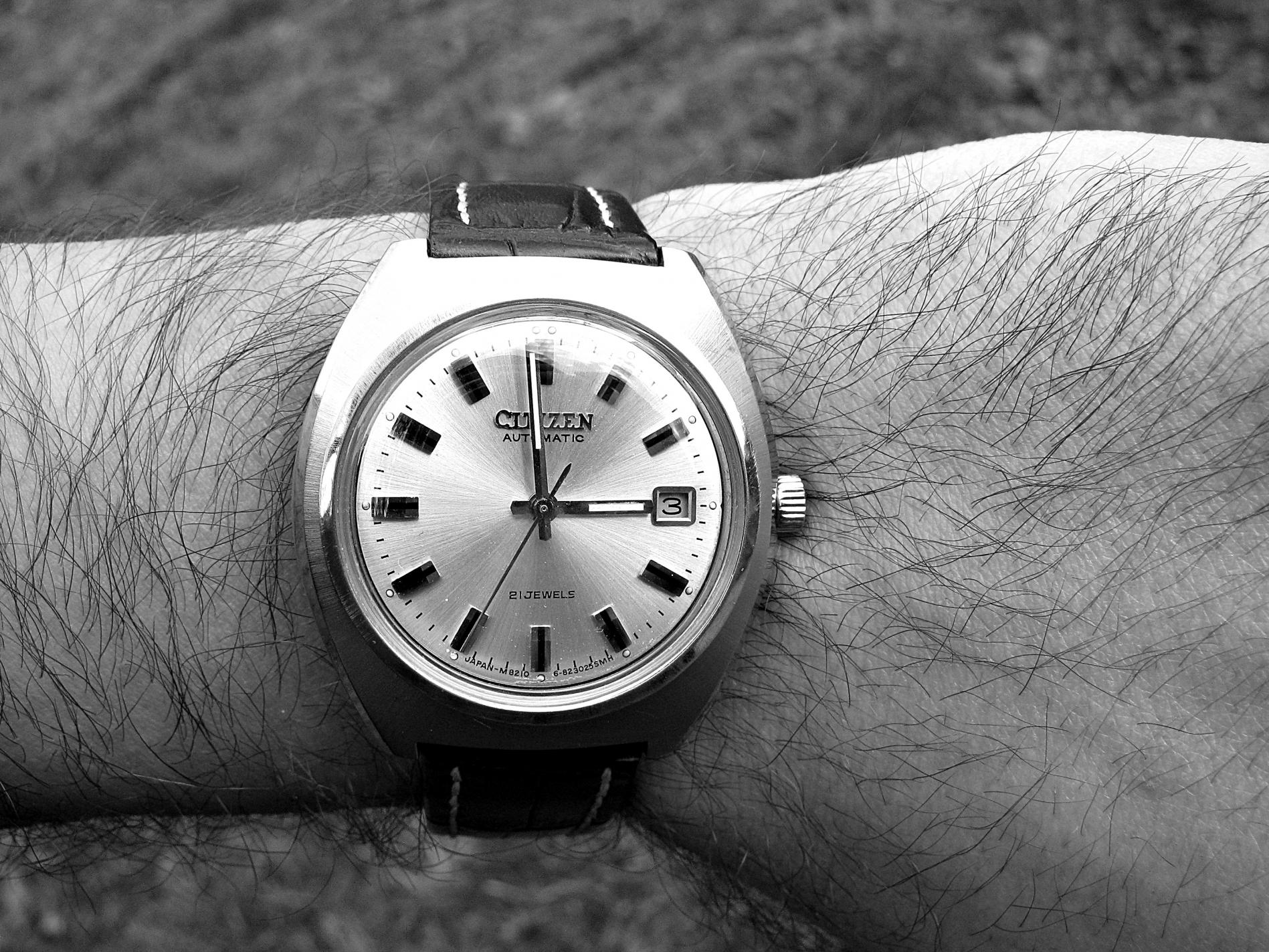 Naziv: IMG_6224 ....jpg, pregleda: 154, veličina: 489,3 KB