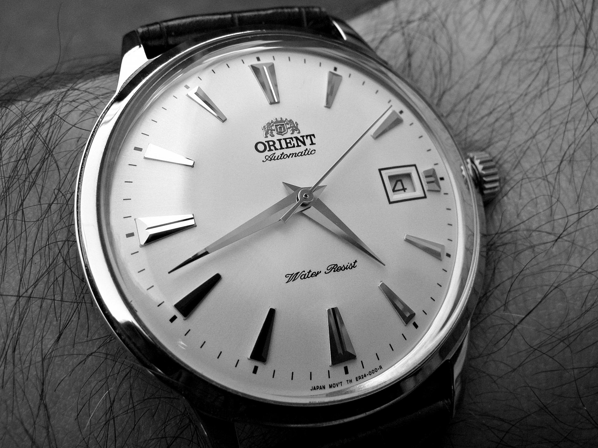 Naziv: IMG_6246 ....jpg, pregleda: 199, veličina: 352,1 KB