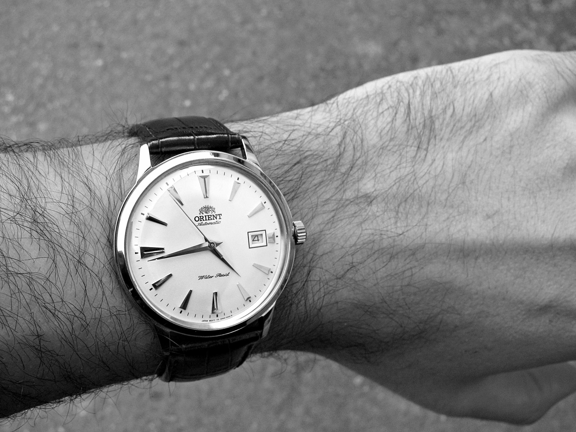 Naziv: IMG_6250 ....jpg, pregleda: 230, veličina: 338,3 KB