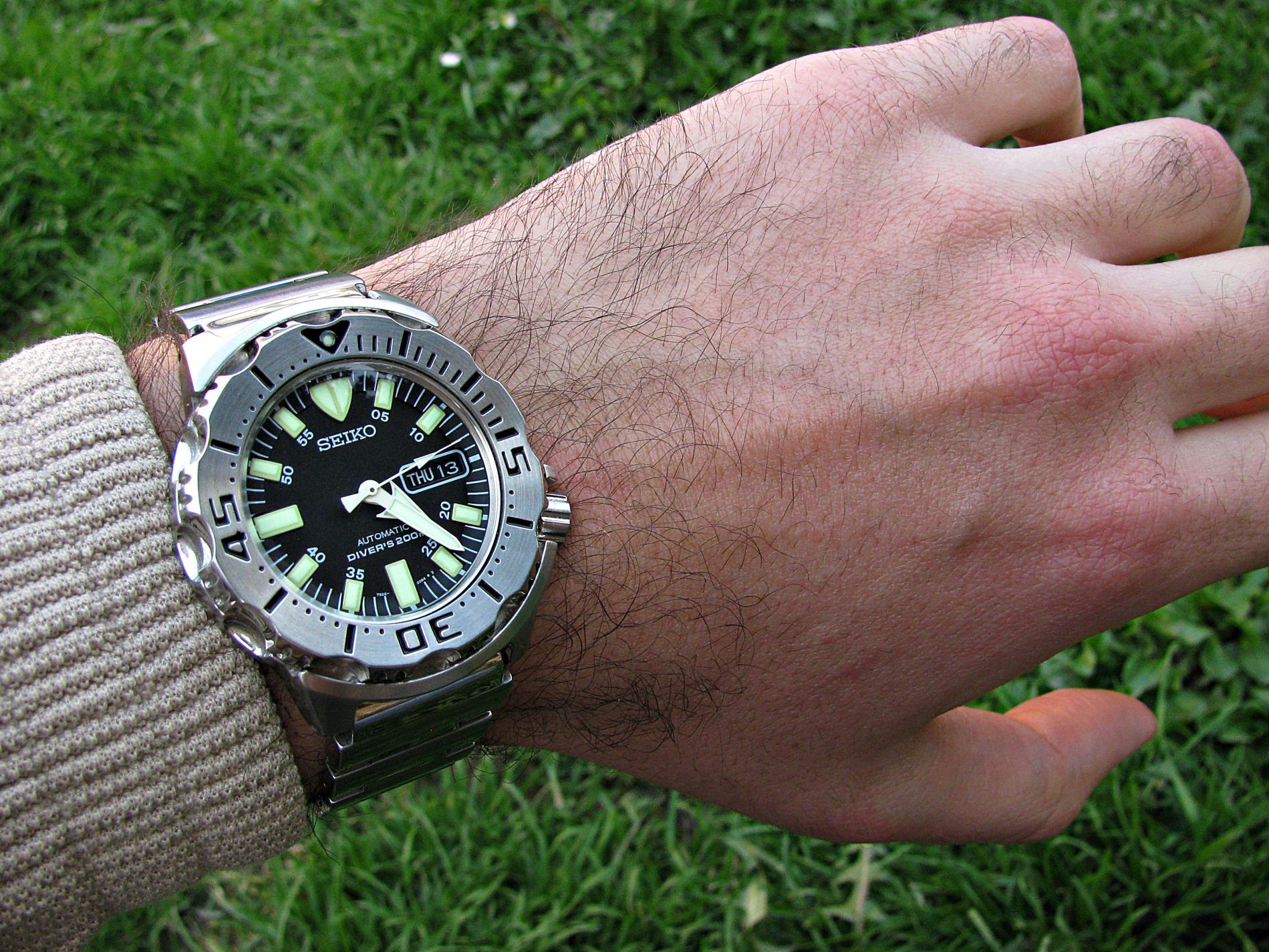 Naziv: IMG_6318 ....jpg, pregleda: 249, veličina: 490,3 KB