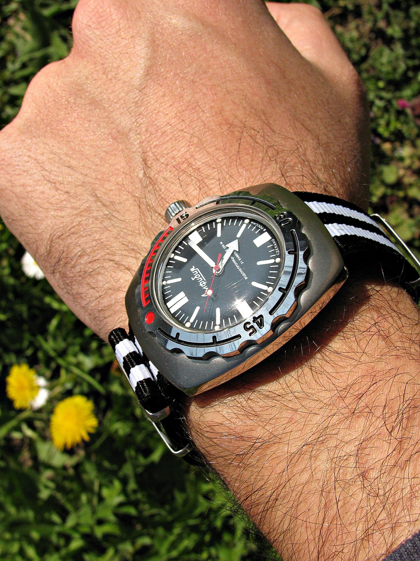 Naziv: IMG_6382 ....jpg, pregleda: 178, veličina: 514,0 KB