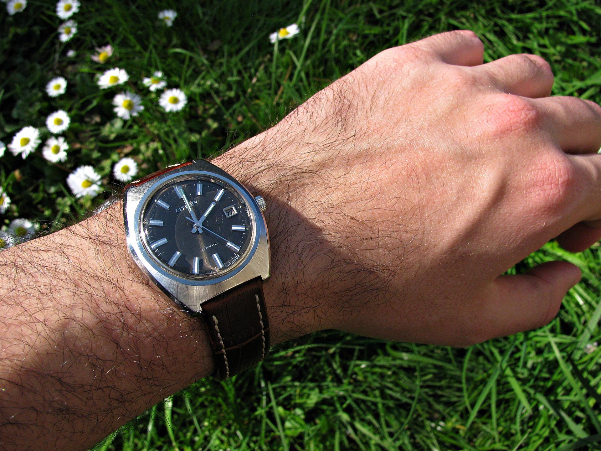 Naziv: IMG_6462 ....jpg, pregleda: 212, veličina: 458,6 KB