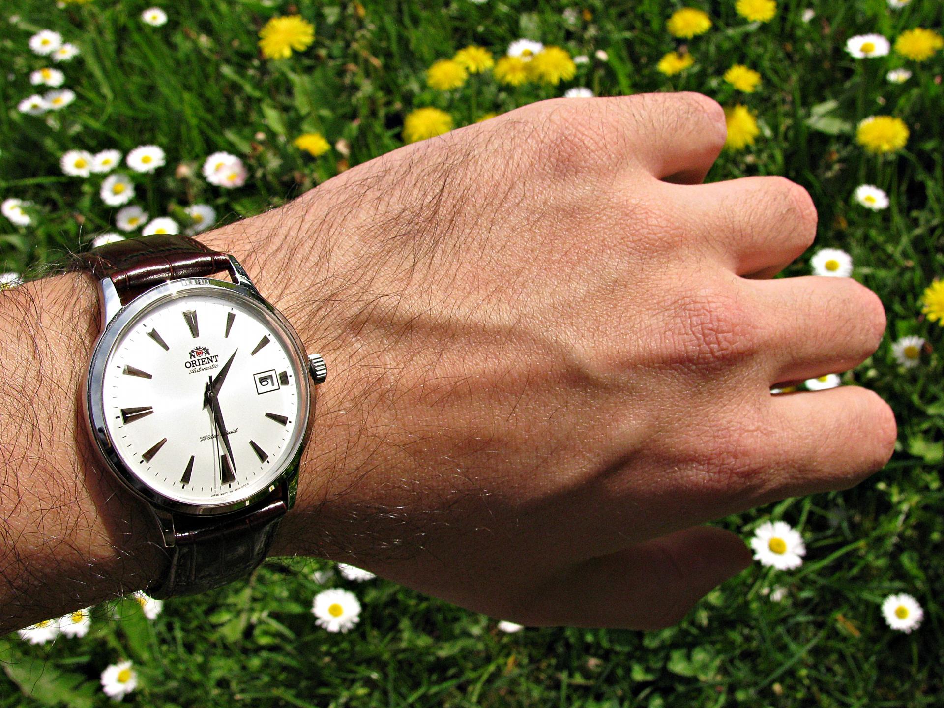 Naziv: IMG_6761 ....jpg, pregleda: 170, veličina: 452,9 KB