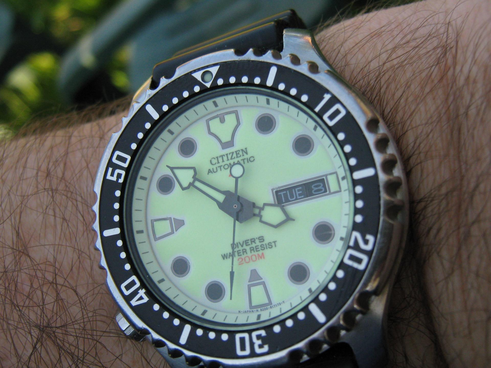 Naziv: IMG_1798.jpg, pregleda: 181, veličina: 267,8 KB