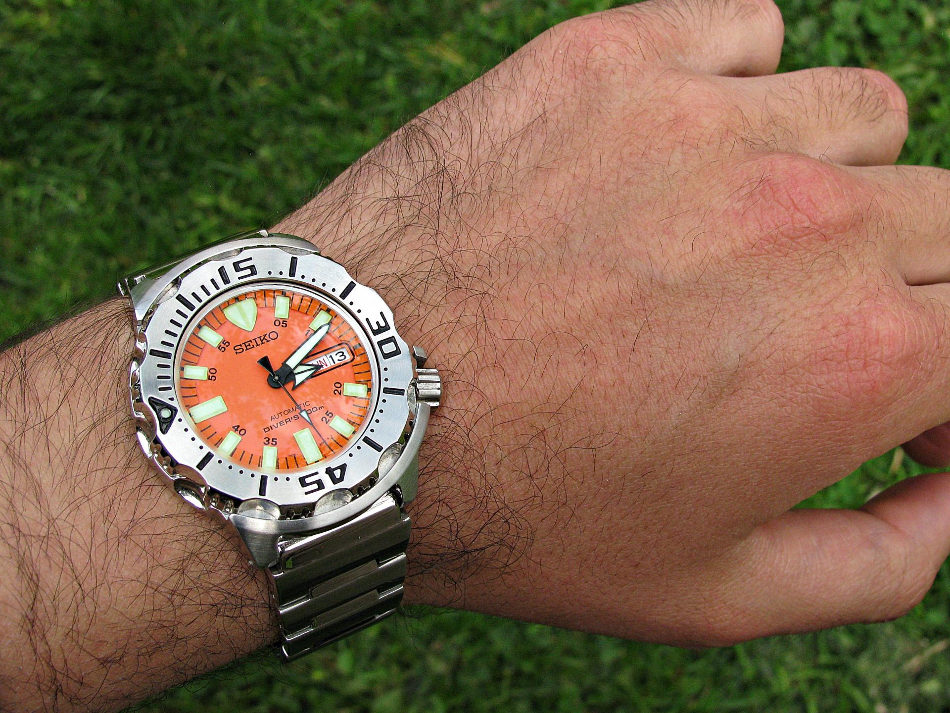 Naziv: IMG_6822 ....jpg, pregleda: 152, veličina: 463,6 KB